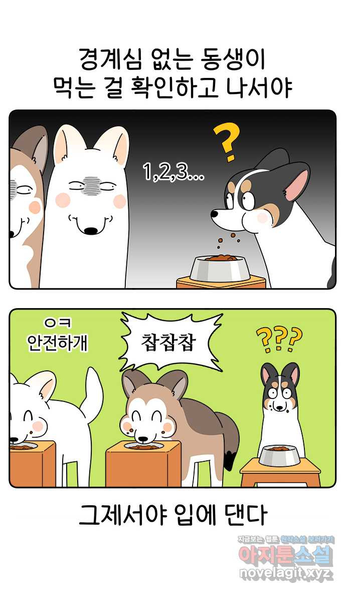 먹는 인생 64화 레밍턴 케이크 - 웹툰 이미지 2