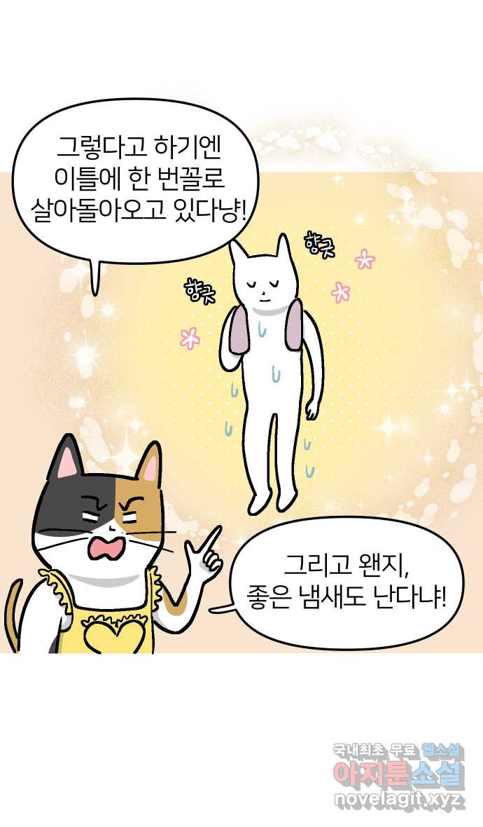 애옹식당 36화 쏴아쏴아 주룩주룩 - 웹툰 이미지 8