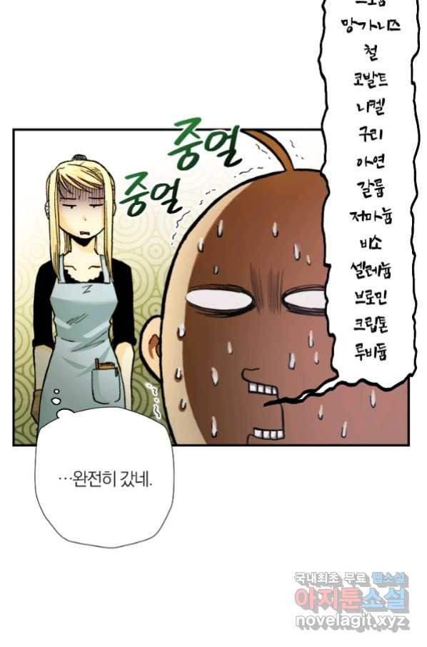 강철의 연금술사  194화 - 웹툰 이미지 48