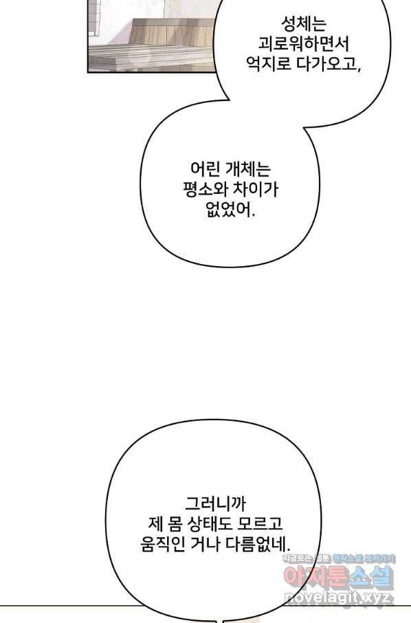 집착광공의 친누나입니다 33화 - 웹툰 이미지 2