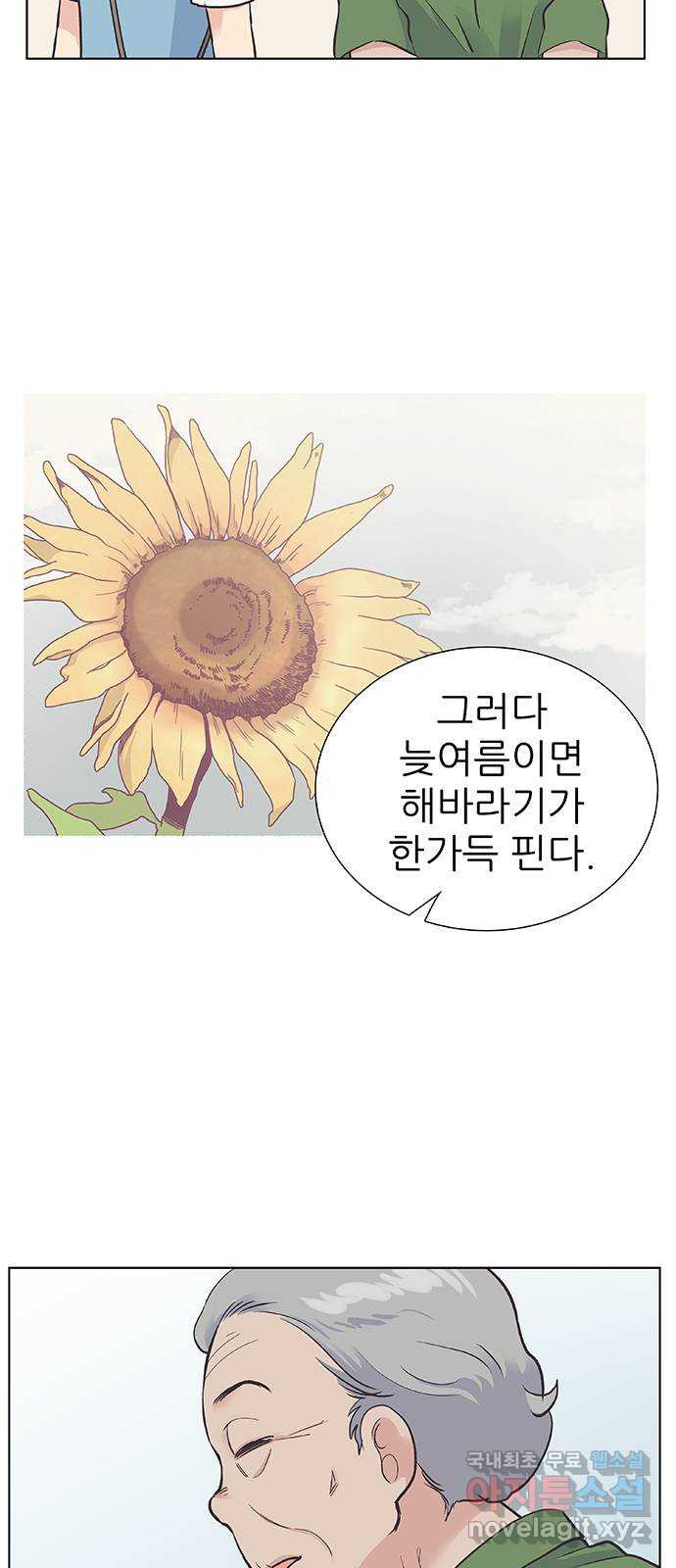 보듬보듬 34화 : 해바라기 같았던 - 웹툰 이미지 15