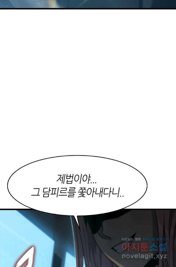 범이 내려왔다 33화 - 웹툰 이미지 101