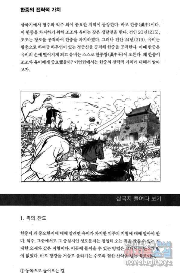 박봉성 삼국지 4부 4권 - 웹툰 이미지 173