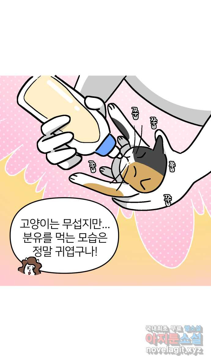 애옹식당 41화 엄마가 새기를 처음 만났을 때 - 웹툰 이미지 20