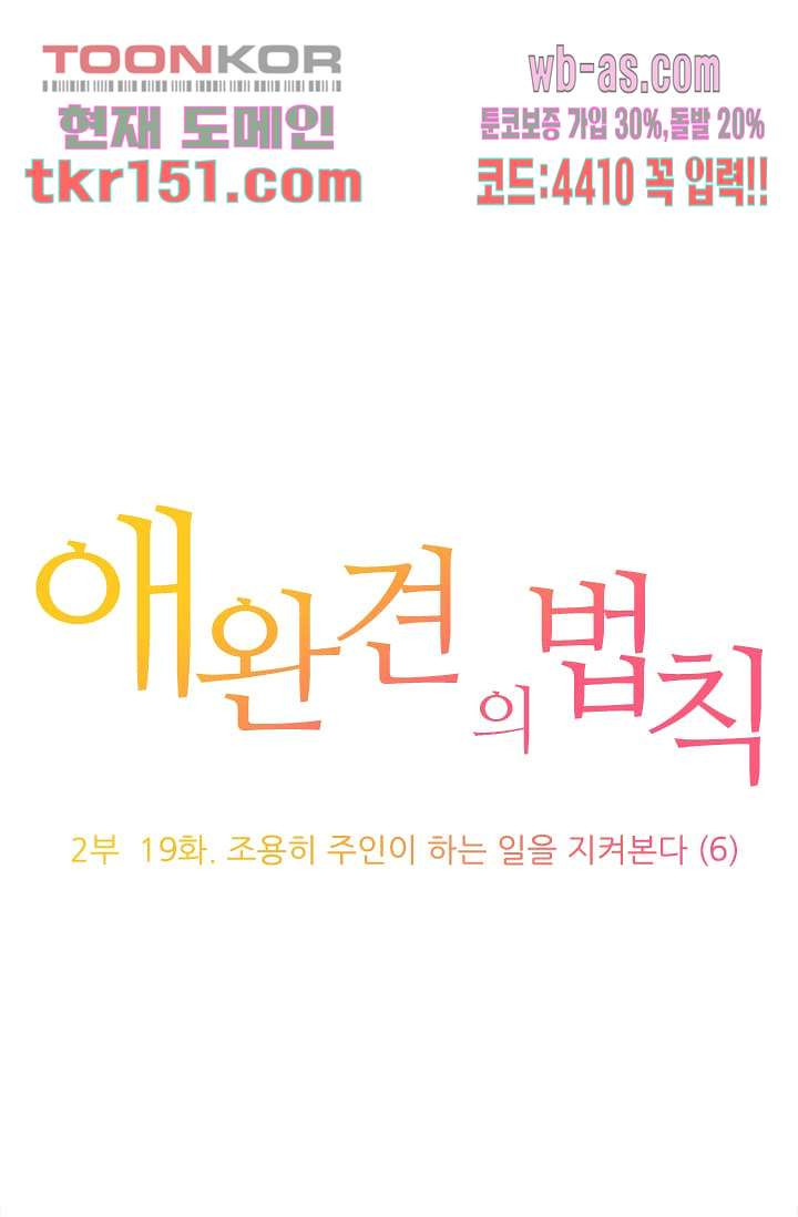 애완견의 법칙 2부 19화 - 웹툰 이미지 1