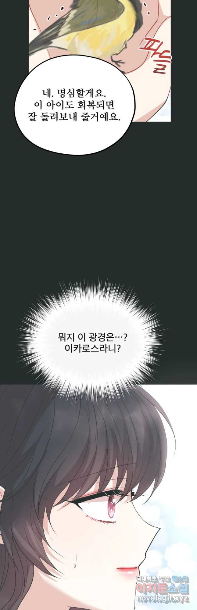 로엘린은 미래를 걷는다 65화 - 웹툰 이미지 37