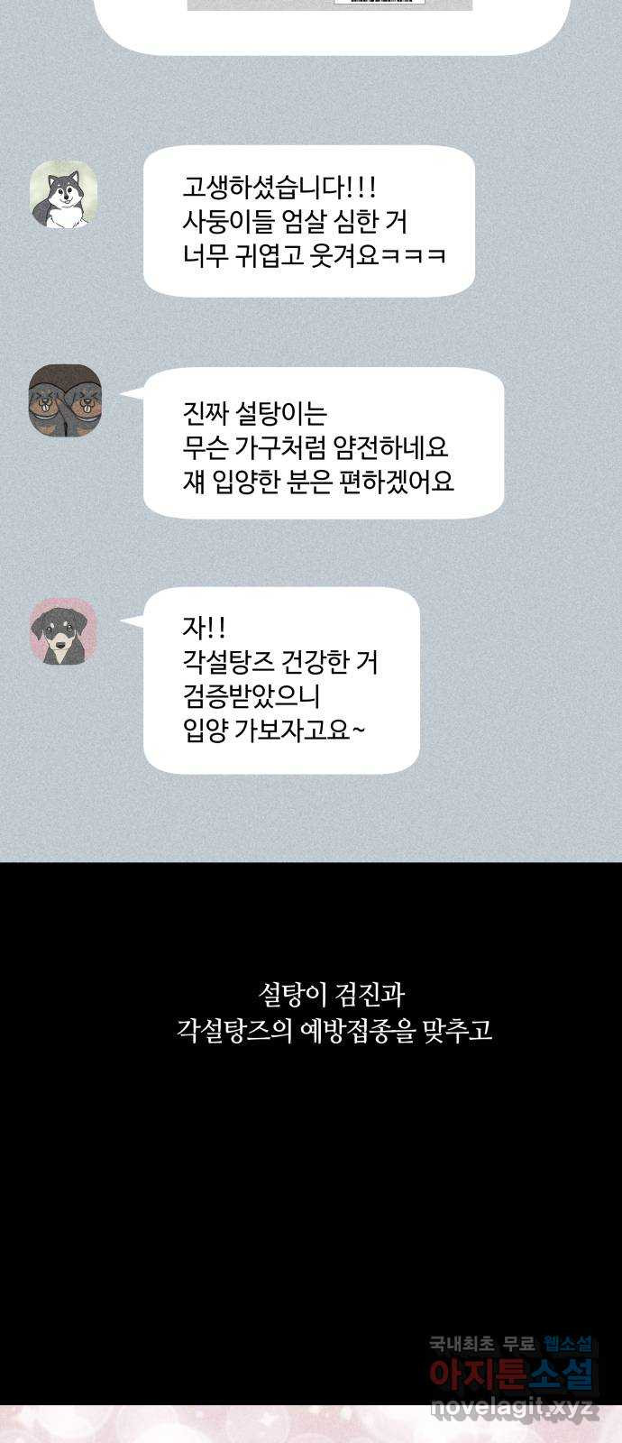 개를 낳았다 시즌2 123화 - 웹툰 이미지 41