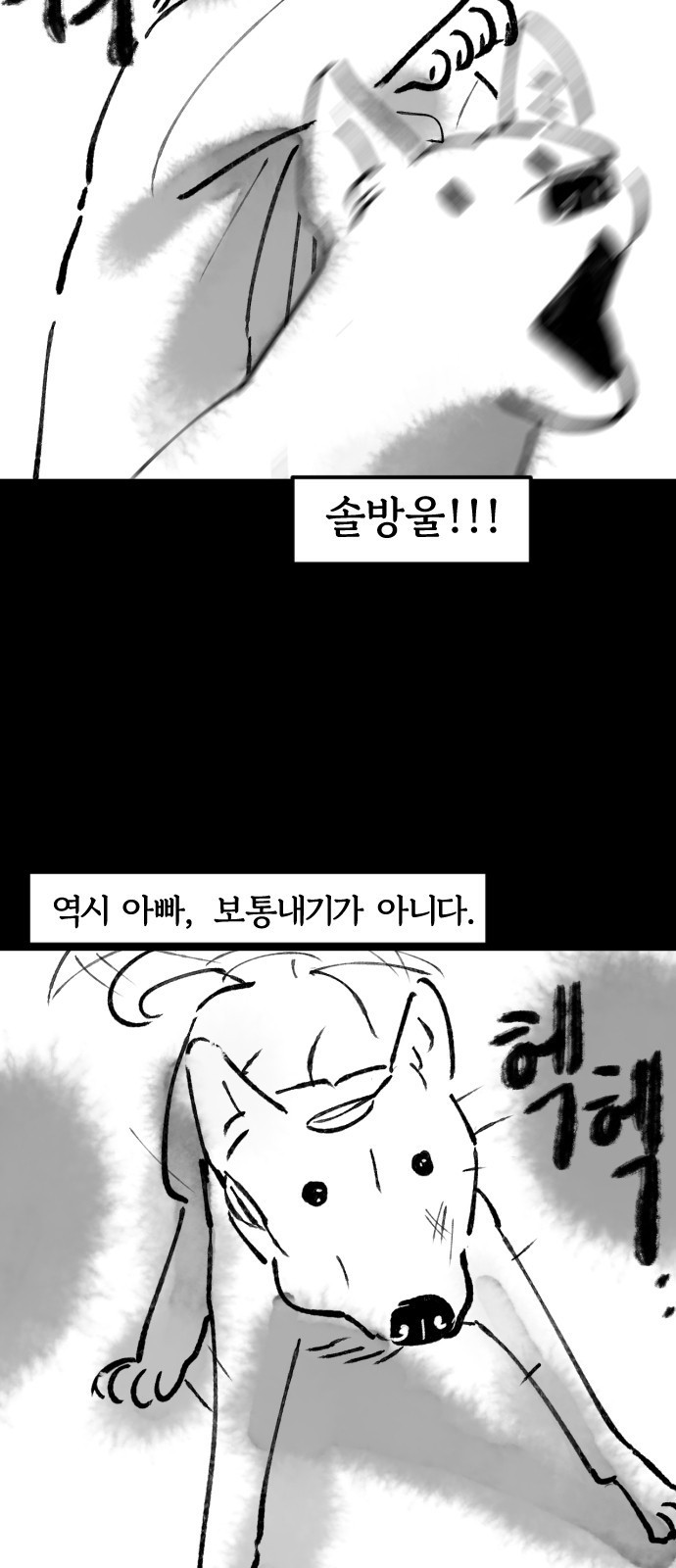 호랑신랑뎐 56화 - 웹툰 이미지 7