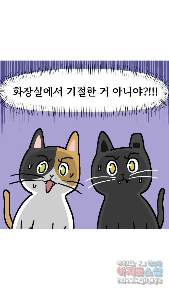 애옹식당 52화 브렉퍼스트와 설거지 - 웹툰 이미지 3