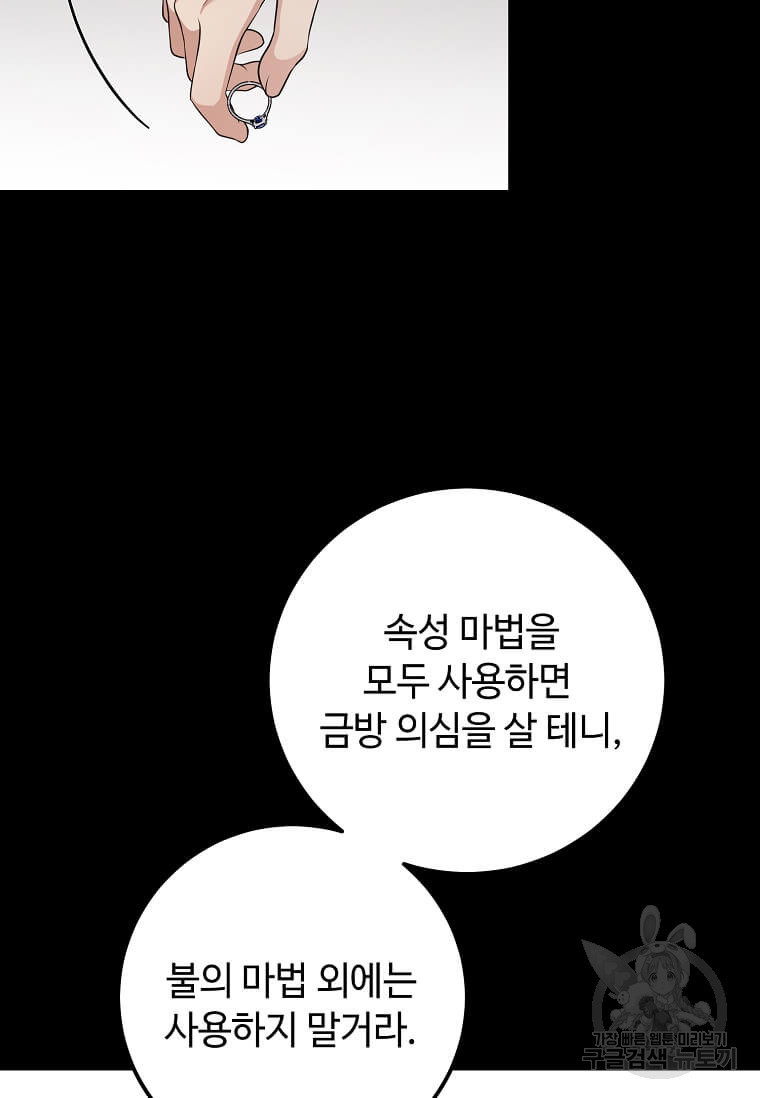 공녀님의 위험한 오빠들 62화 - 웹툰 이미지 38