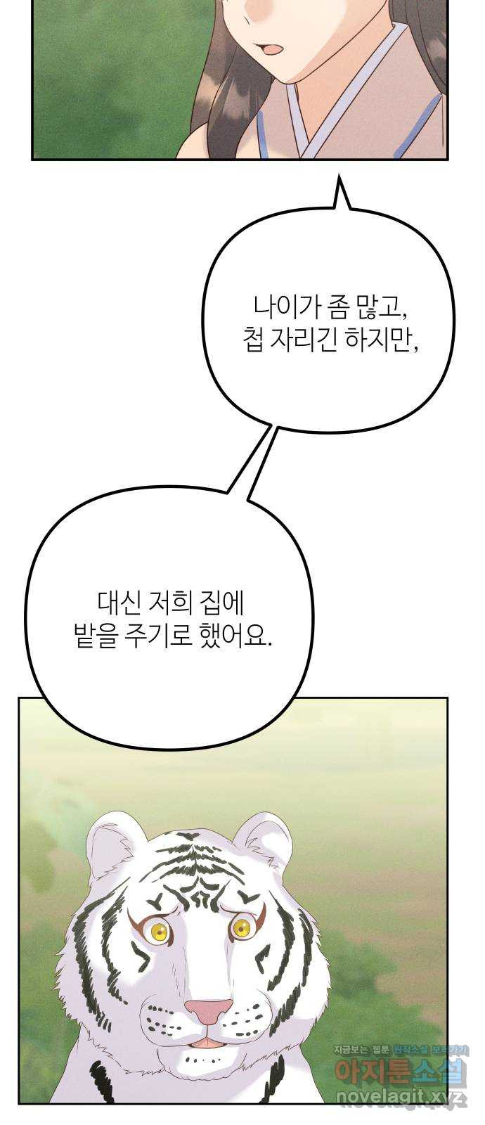 자취방 신선들 62. 호랑이 이야기 (1) - 웹툰 이미지 52