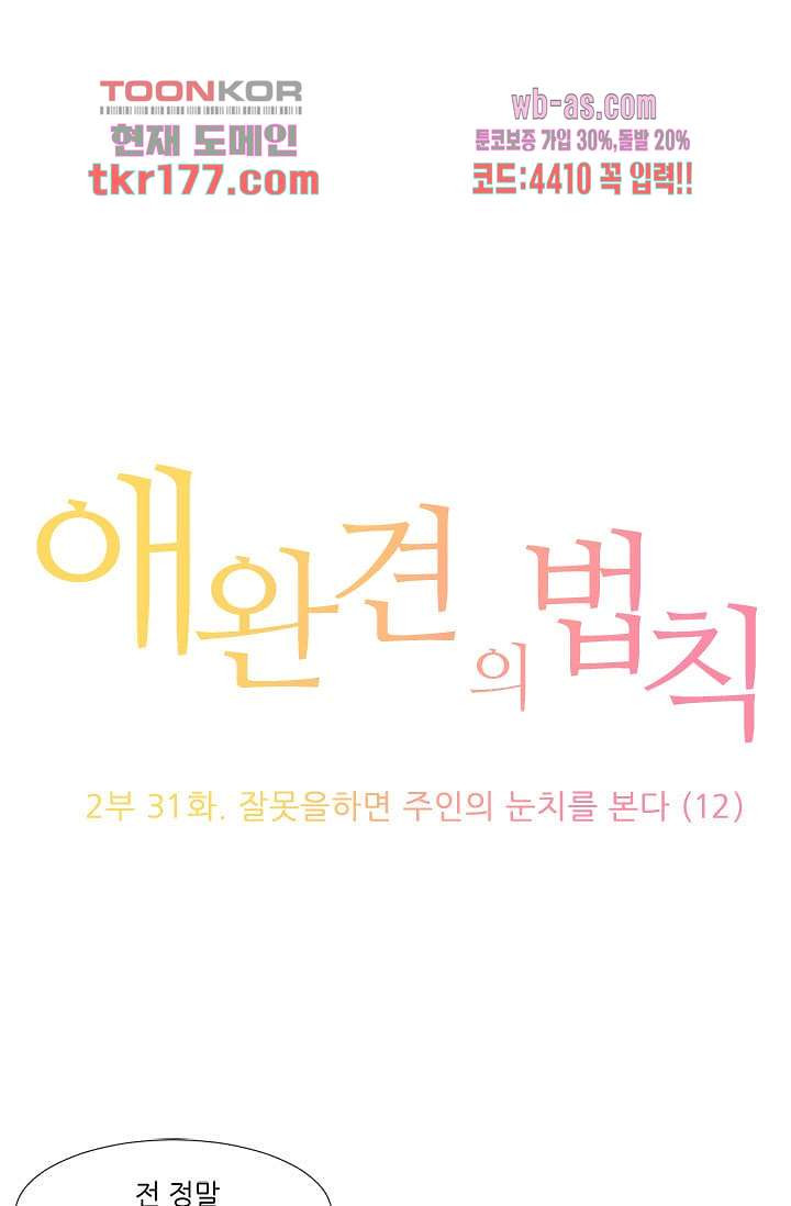 애완견의 법칙 2부 31화 - 웹툰 이미지 1