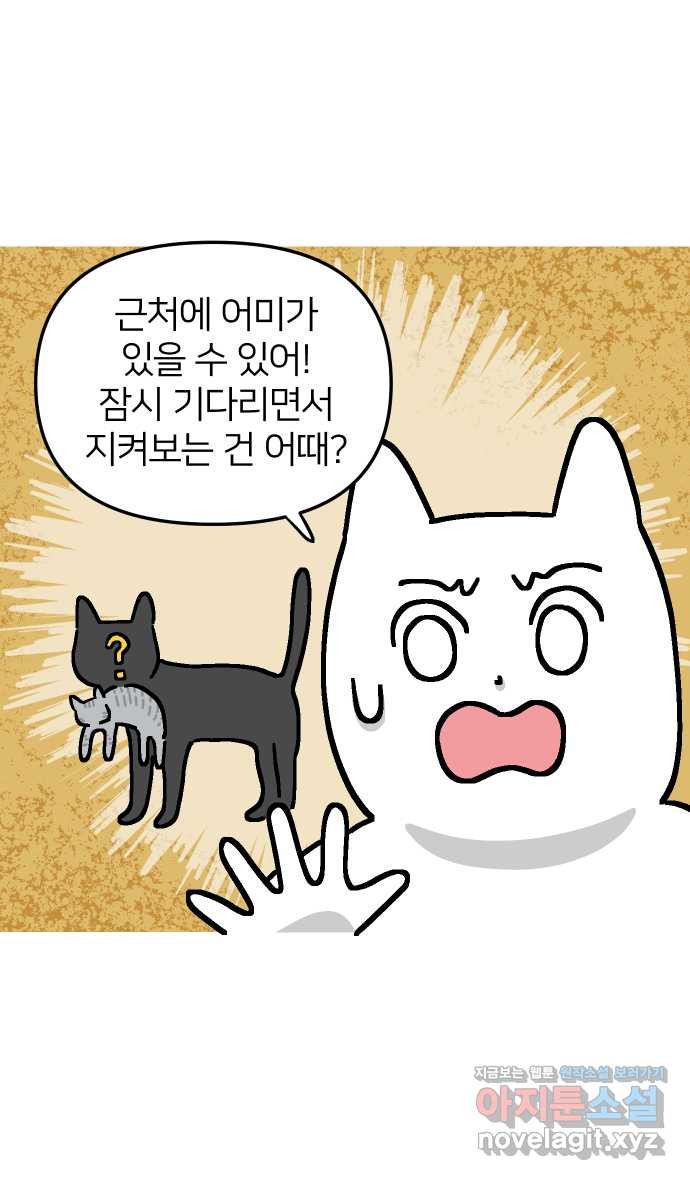 애옹식당 54화 편의점 앞 베이비 - 웹툰 이미지 8