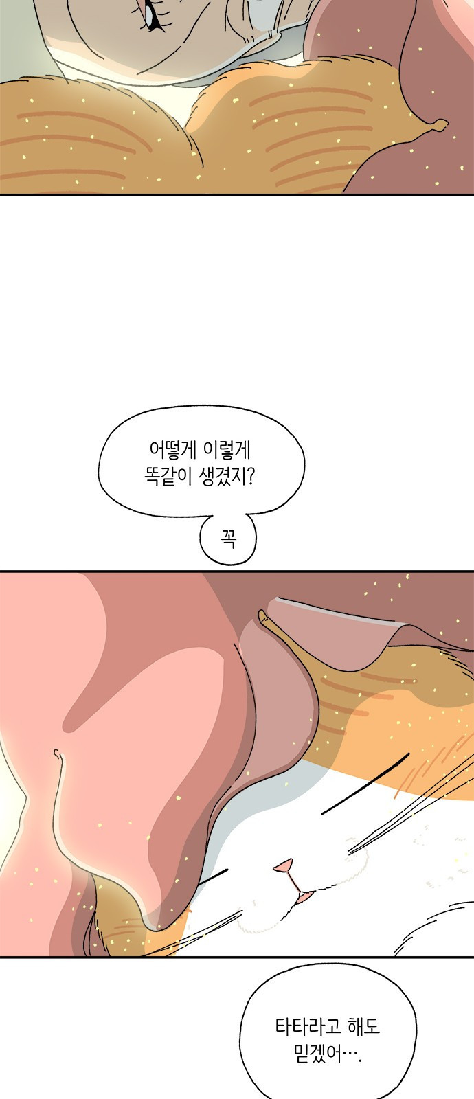 고양이 타타 2화 - 웹툰 이미지 20