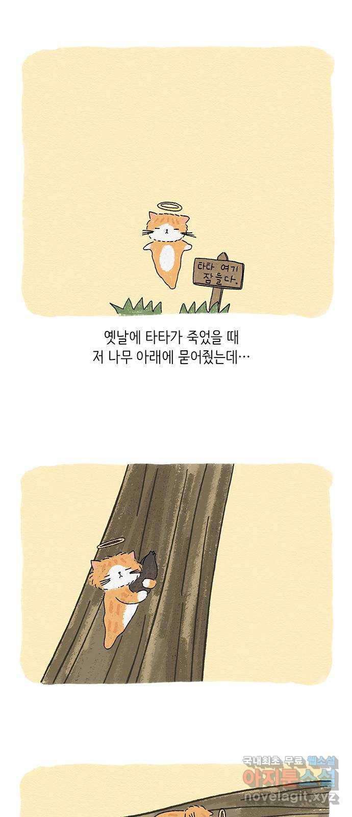 고양이 타타 3화 - 웹툰 이미지 40