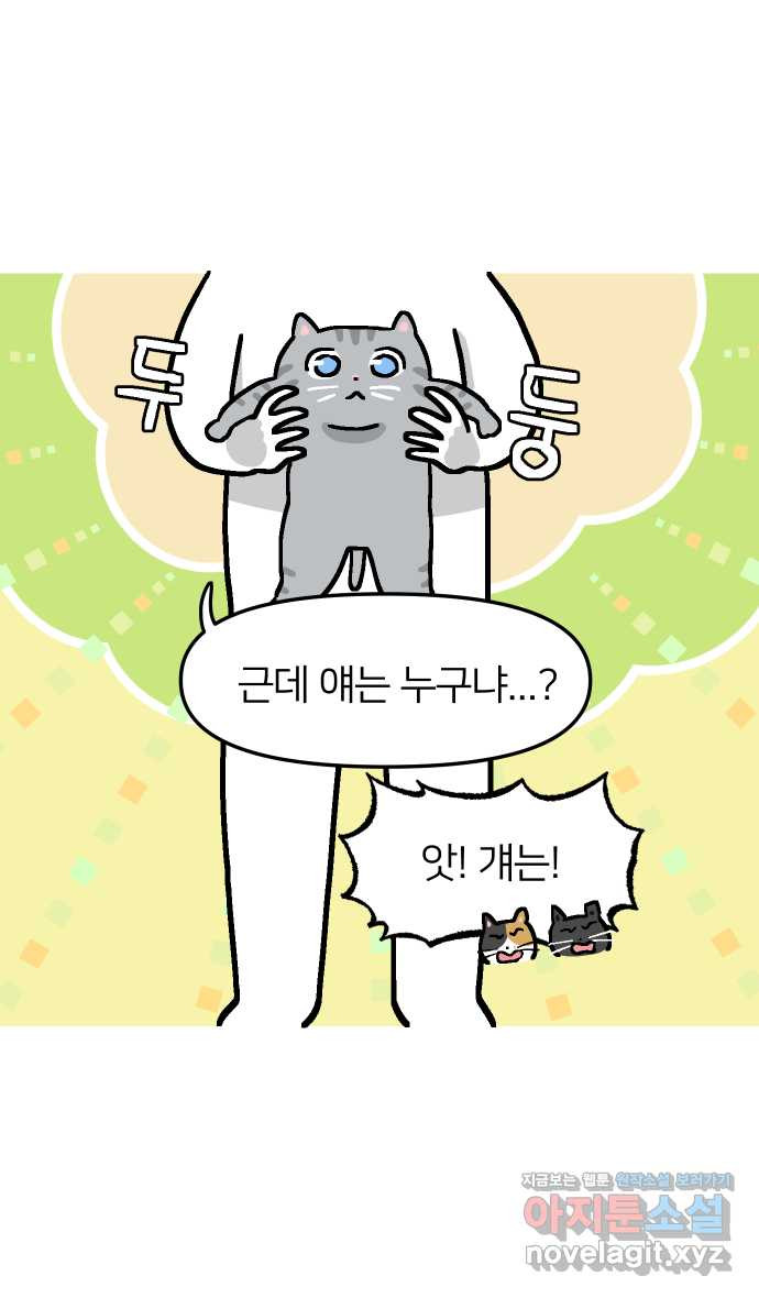 애옹식당 58화 람쥐와 베이비 - 웹툰 이미지 2