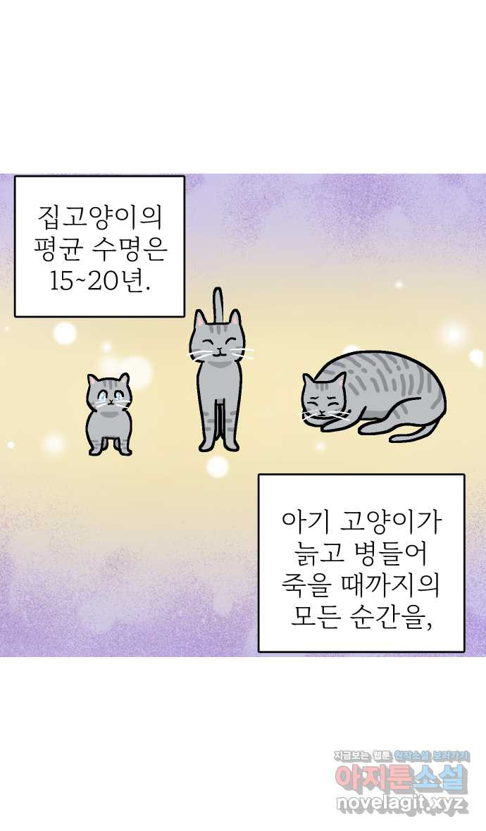 애옹식당 58화 람쥐와 베이비 - 웹툰 이미지 12