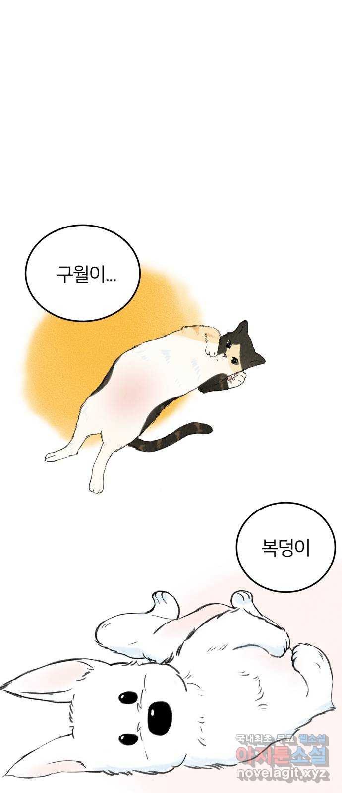 우리 집 고양이 보고 갈래? 1화 - 웹툰 이미지 42