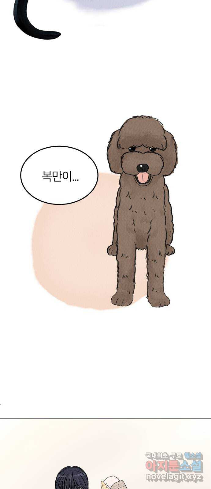 우리 집 고양이 보고 갈래? 1화 - 웹툰 이미지 44