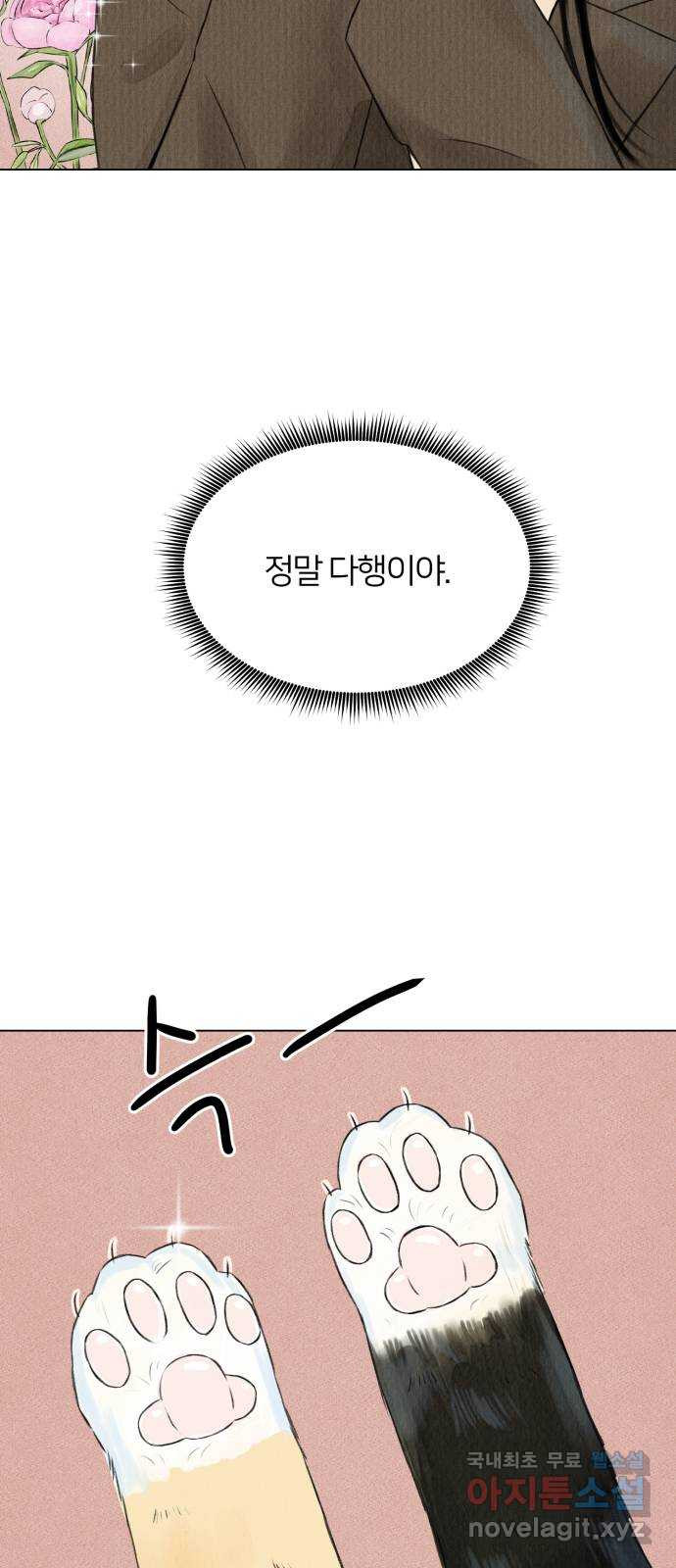 우리 집 고양이 보고 갈래? 2화 - 웹툰 이미지 5