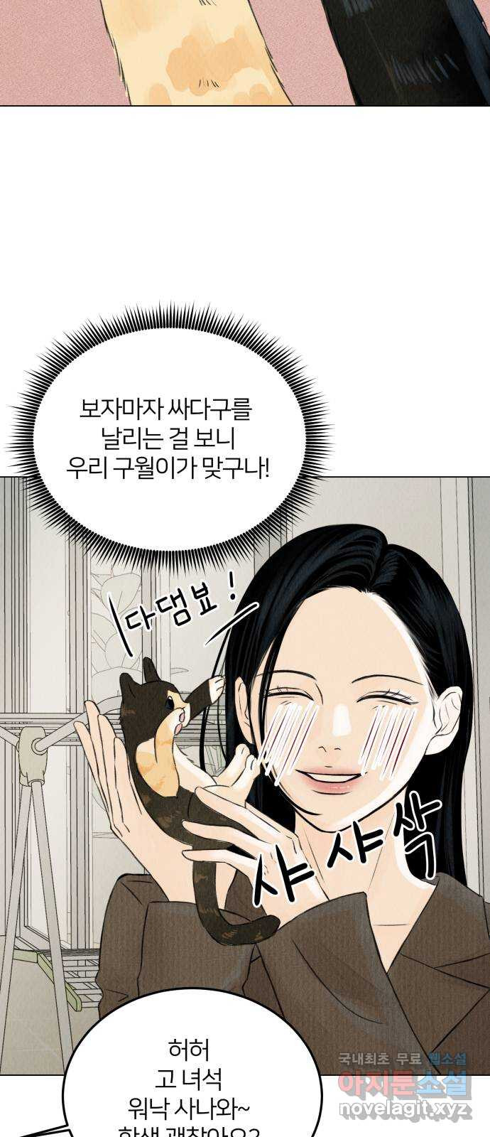 우리 집 고양이 보고 갈래? 2화 - 웹툰 이미지 6