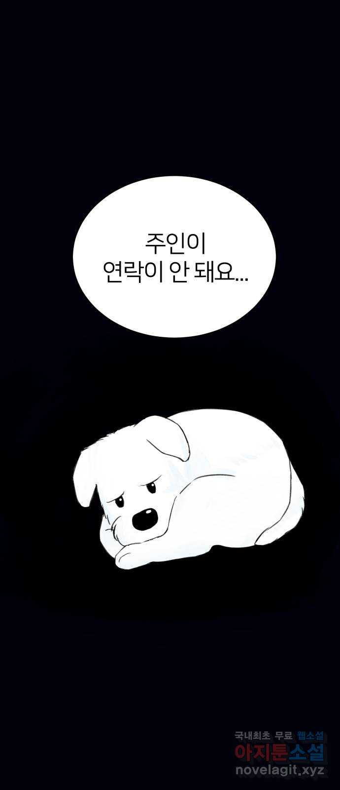 우리 집 고양이 보고 갈래? 2화 - 웹툰 이미지 28