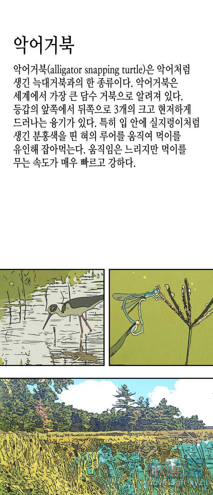 반짝반짝 작은 눈 82화 - 웹툰 이미지 2