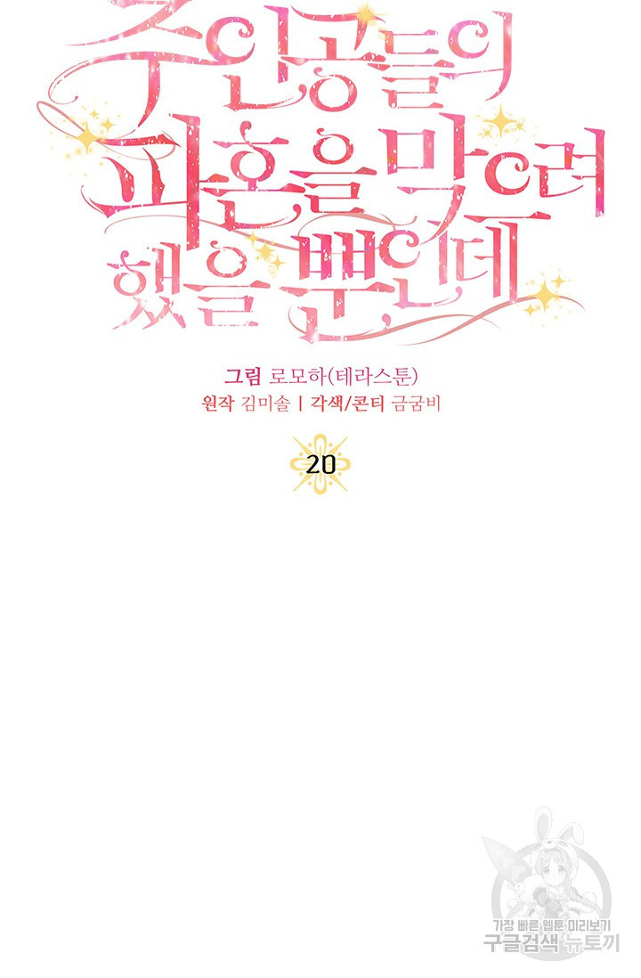 주인공들의 파혼을 막으려 했을 뿐인데 20화 - 웹툰 이미지 30