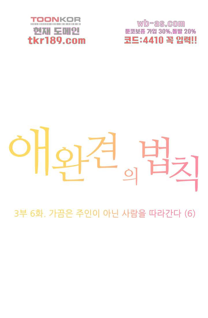 애완견의 법칙 3부 6화 - 웹툰 이미지 1