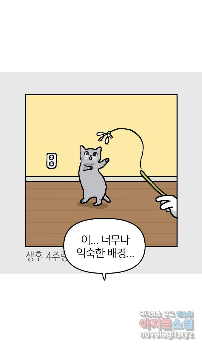 애옹식당 60화 엄마와 스프카레 - 웹툰 이미지 29