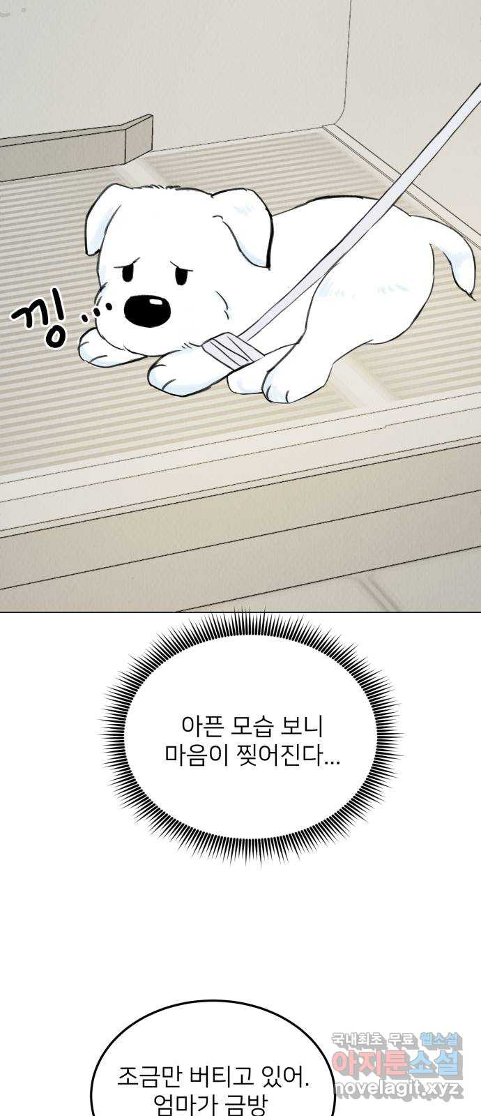 우리 집 고양이 보고 갈래? 3화 - 웹툰 이미지 60