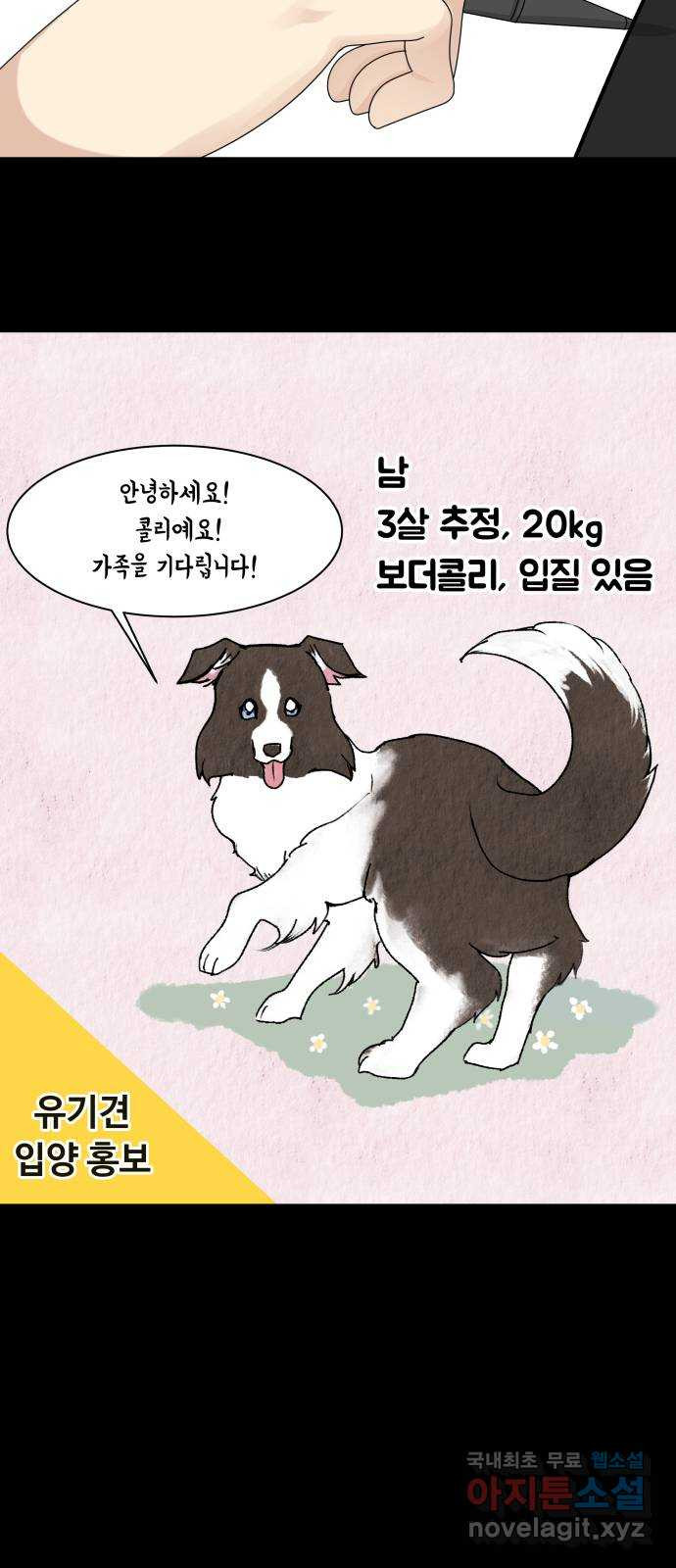 개를 낳았다 시즌2 135화 - 웹툰 이미지 44