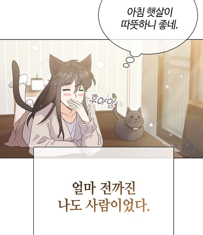 고양이 키스 프롤로그 - 웹툰 이미지 7