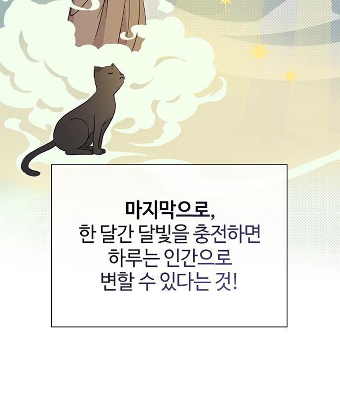 고양이 키스 2화 - 웹툰 이미지 31