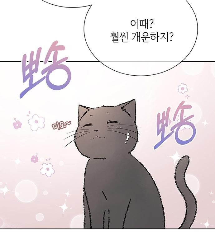 고양이 키스 3화 - 웹툰 이미지 24