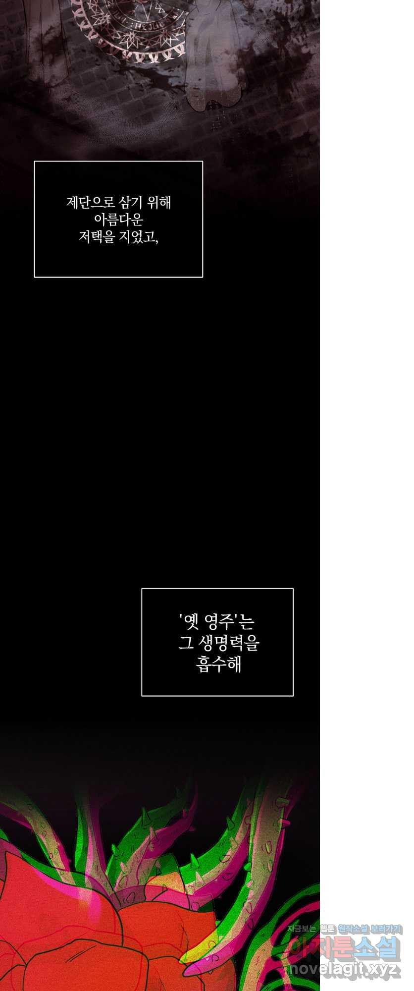 로판인 줄 알았는데 괴담이다 39화 - 웹툰 이미지 14