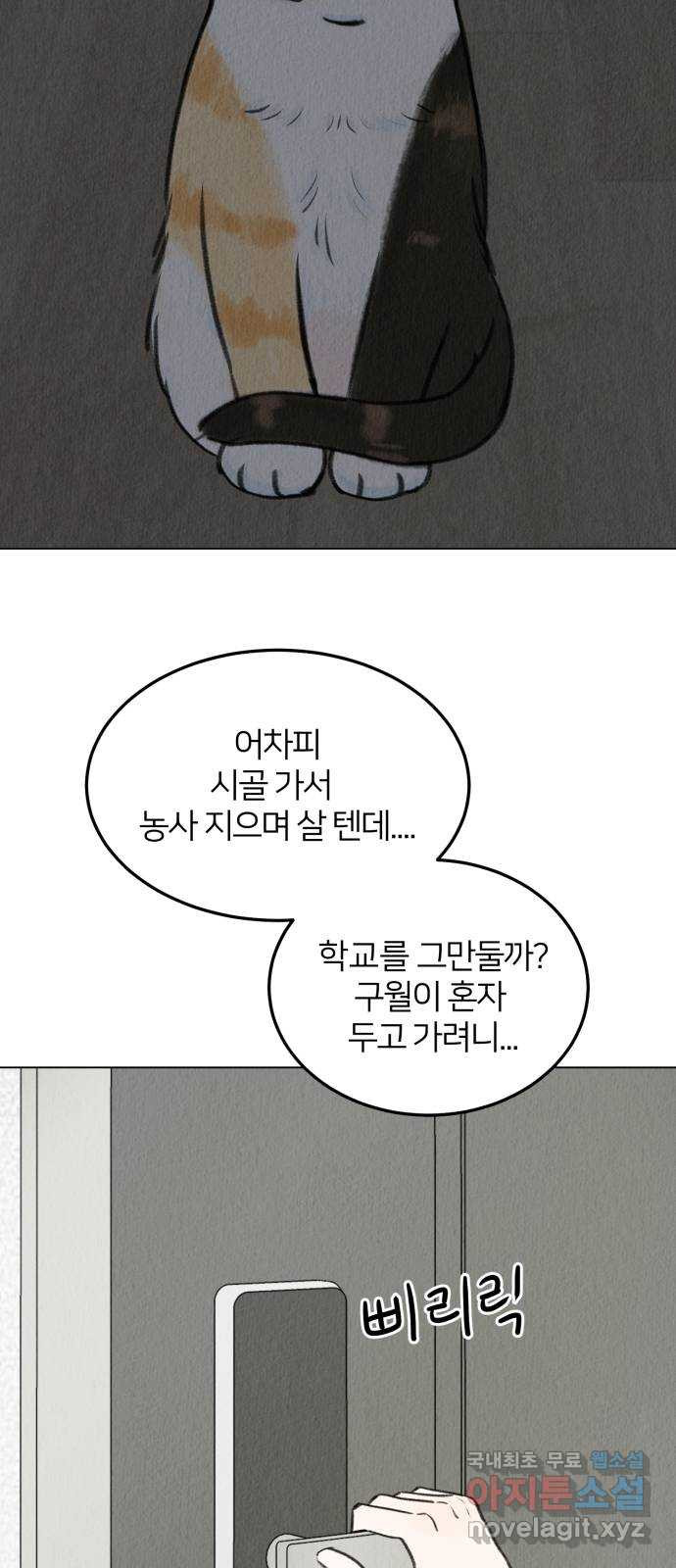 우리 집 고양이 보고 갈래? 4화 - 웹툰 이미지 11