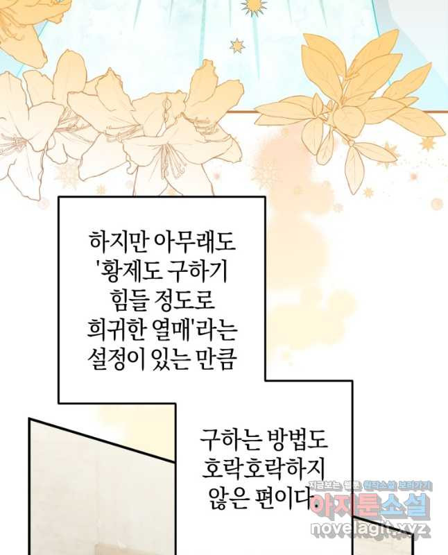 하필이면 까마귀가 되어버렸다 74화 - 웹툰 이미지 45