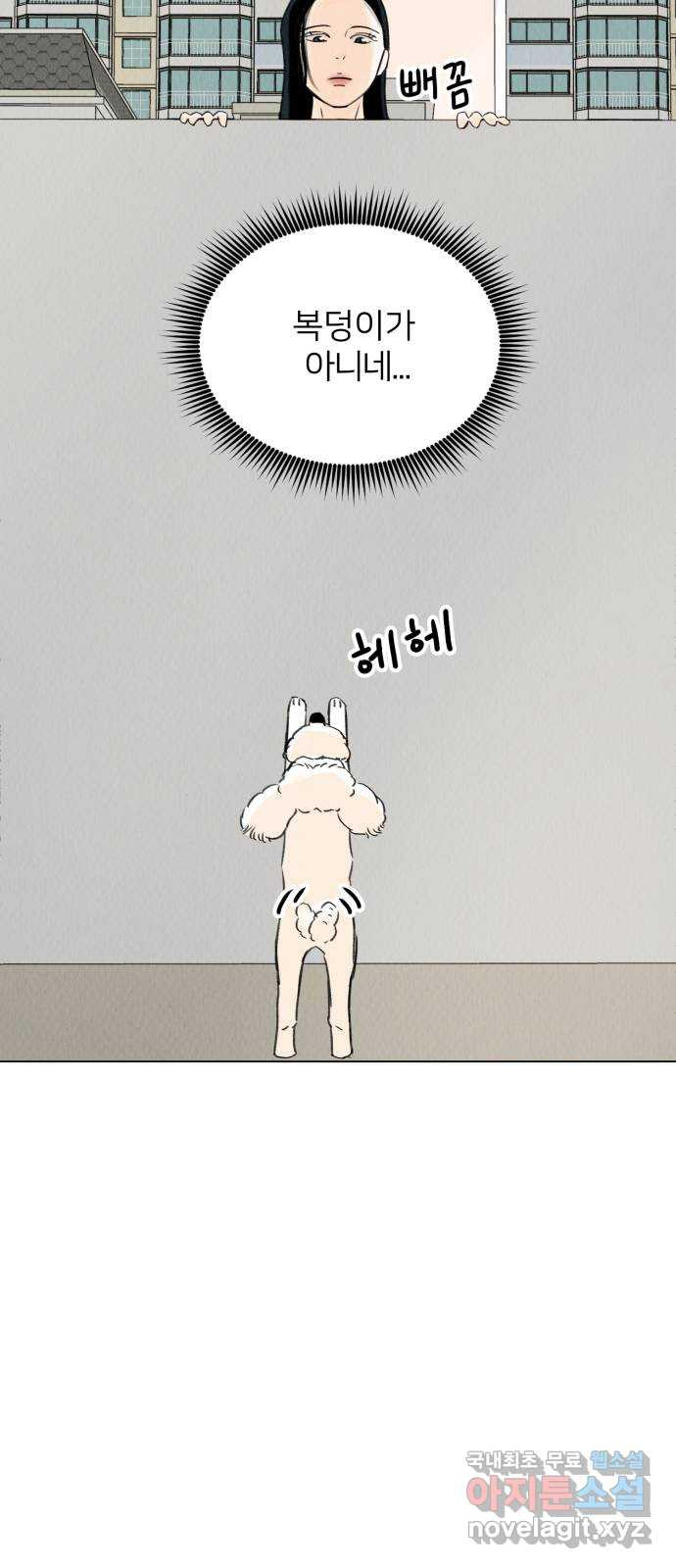 우리 집 고양이 보고 갈래? 6화 - 웹툰 이미지 15