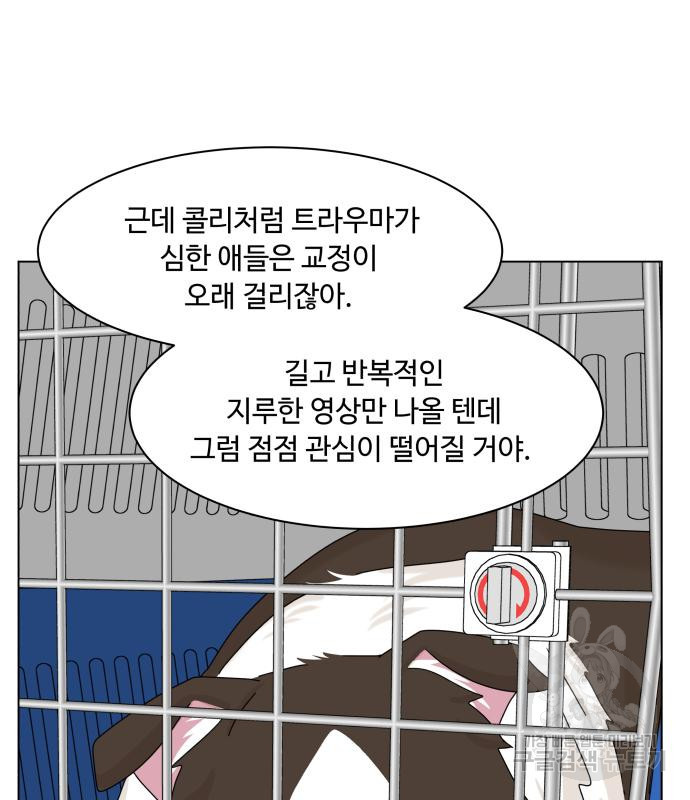 개를 낳았다 시즌2 140화 - 웹툰 이미지 32