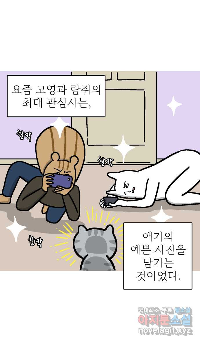 애옹식당 65화 악어 씨, 애기를 탐내다 - 웹툰 이미지 2