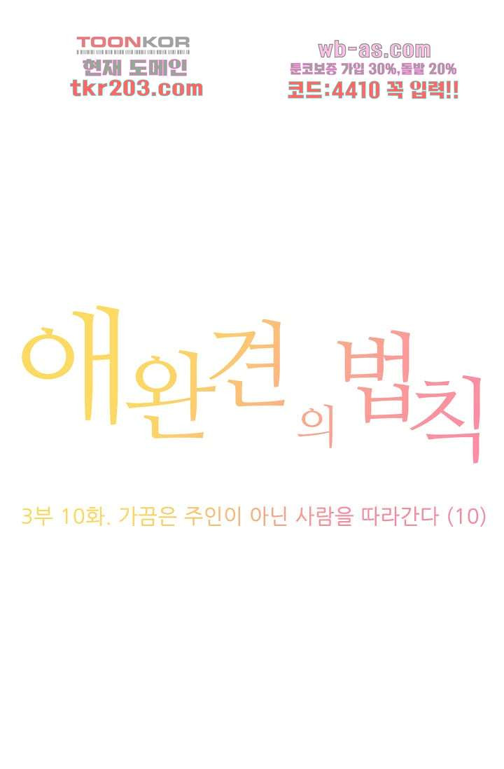 애완견의 법칙 3부 10화 - 웹툰 이미지 1