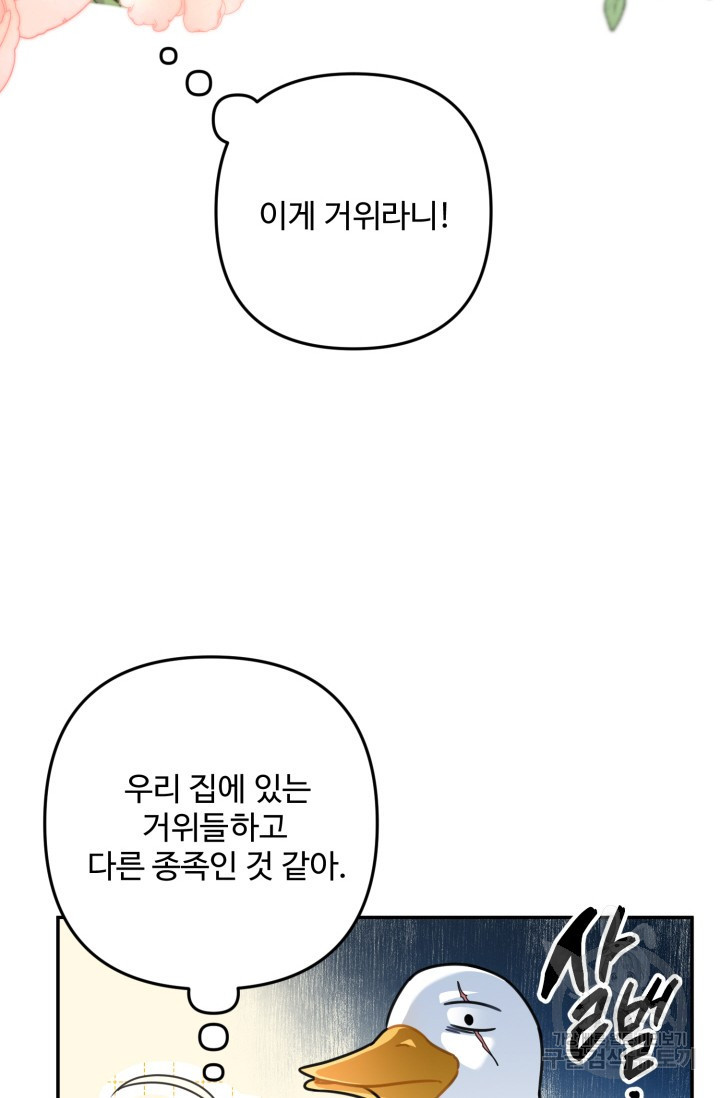 왜 이러세요, 시어머니? 1화 - 웹툰 이미지 16