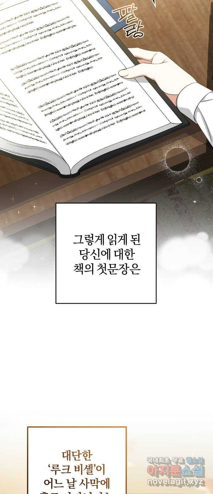 루크 비셸 따라잡기 46화 - 웹툰 이미지 23