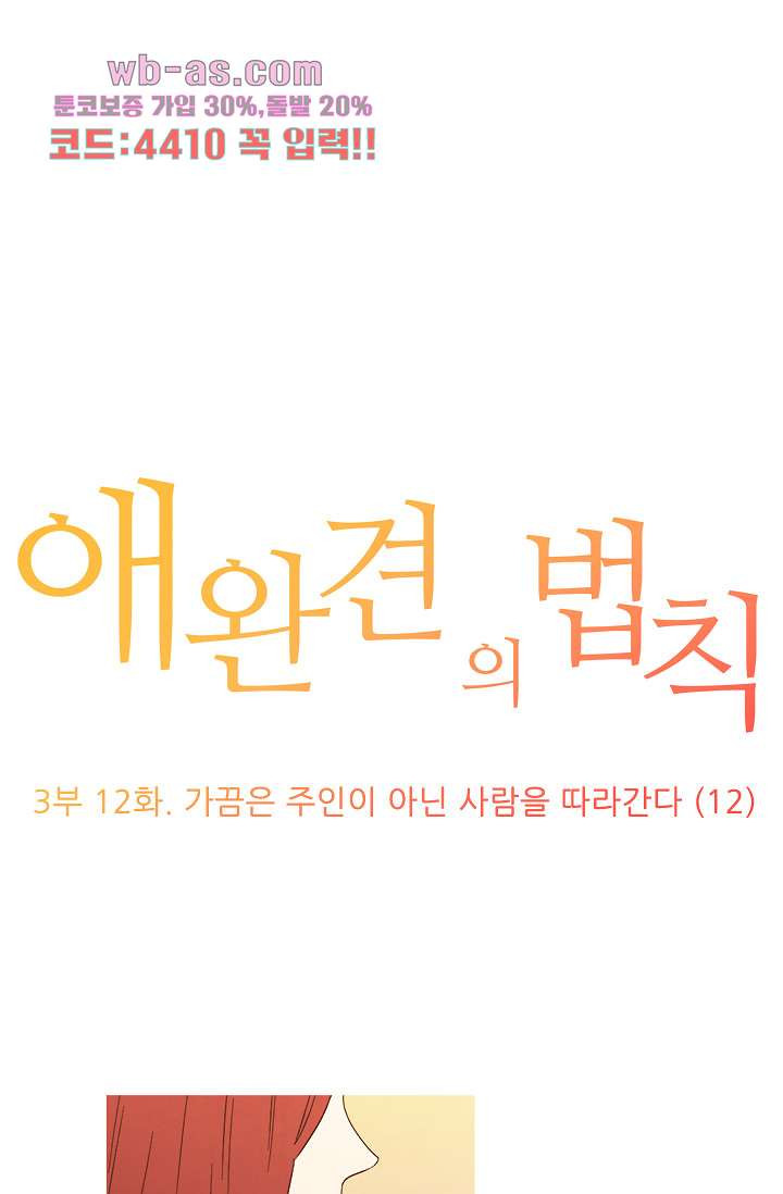 애완견의 법칙 3부 12화 - 웹툰 이미지 1