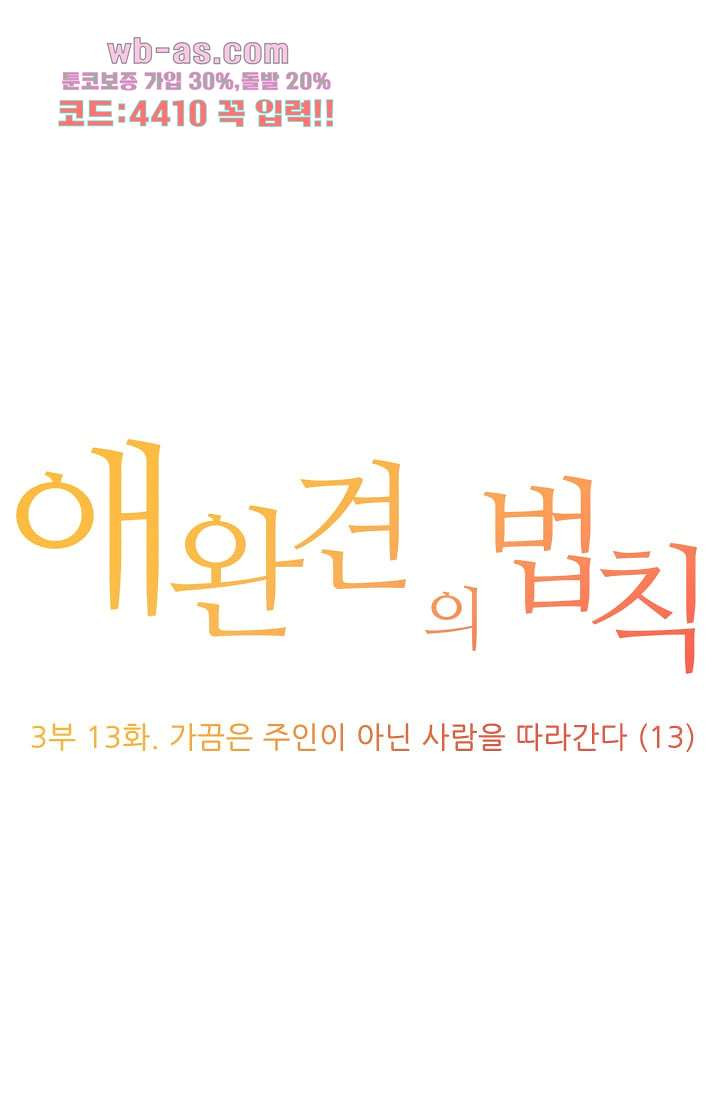 애완견의 법칙 3부 13화 - 웹툰 이미지 1