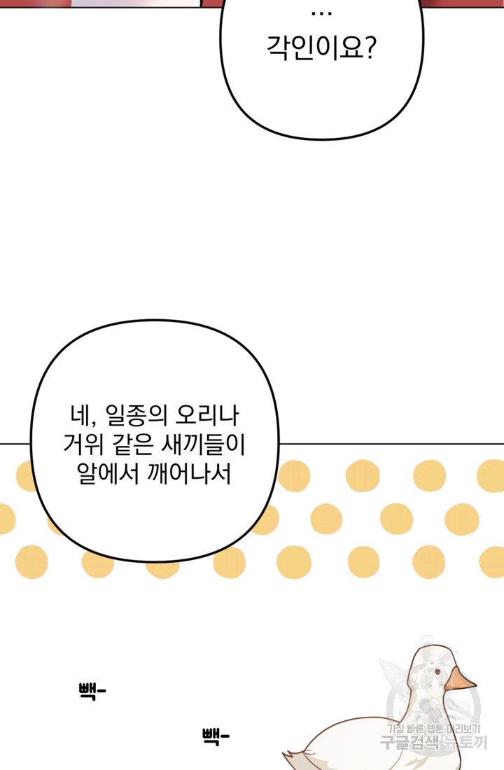 포동포동한 여주는 인기가 없나요 15화 - 웹툰 이미지 43