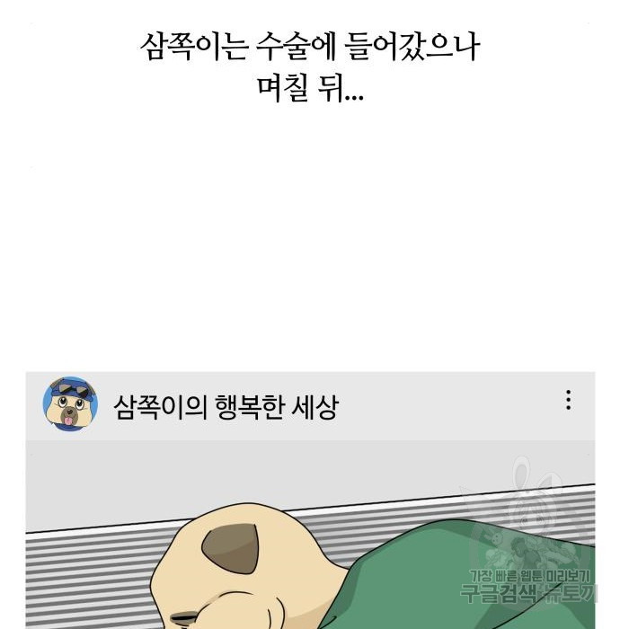 개를 낳았다 시즌2 147화 - 웹툰 이미지 29