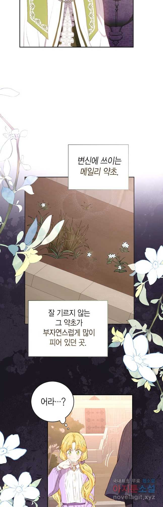 그 남자는 제 친오빠인데요, 공작님 44화 - 웹툰 이미지 41