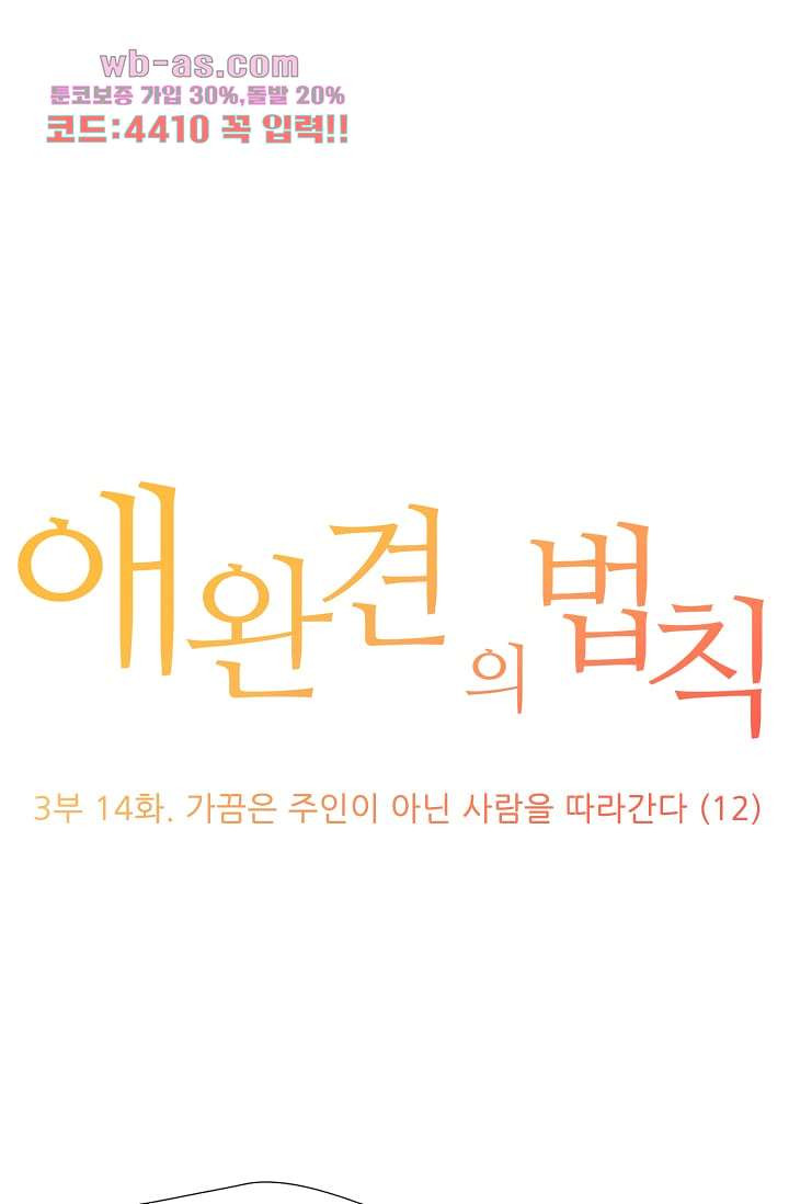 애완견의 법칙 3부 14화 - 웹툰 이미지 1